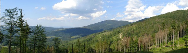 Panorama Beskidu Żywieckiego