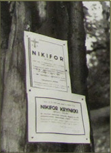nikifor07 (13 kB)