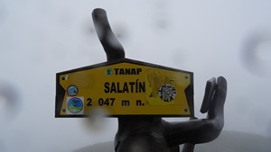 salatyn03 (56 kB)