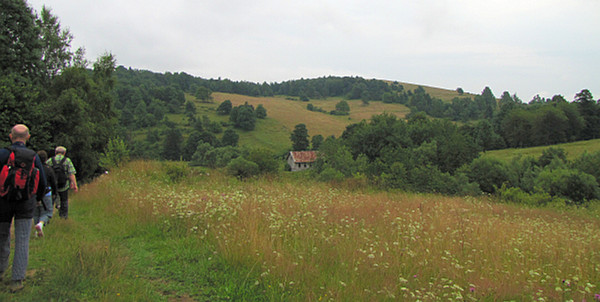 Dolina wsi Radocyna.