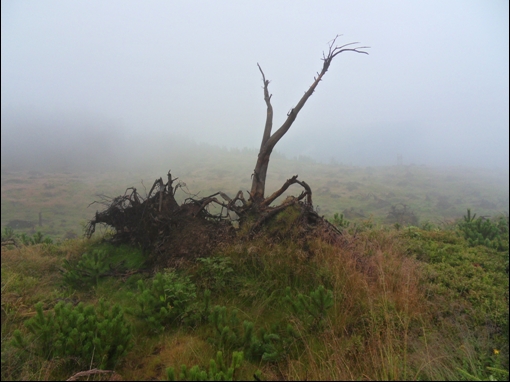 Na horyzoncie, za mgłą, panorama Beskidu Śląskiego